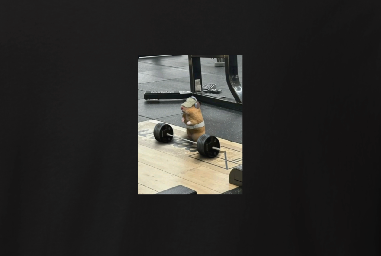 T-shirt "Hamster at the gym"