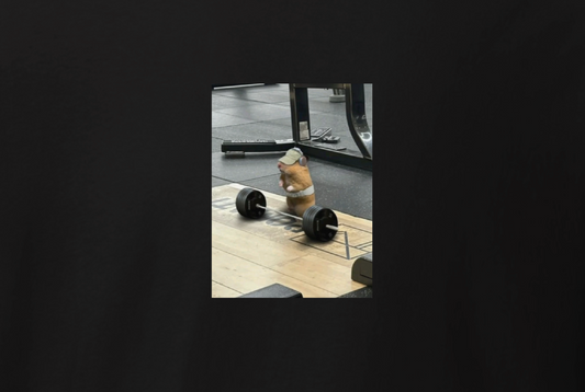 T-shirt "Hamster at the gym"
